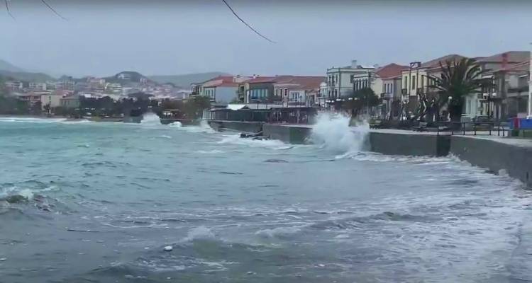 &Lambda;ή&mu;&nu;&omicron;&sigmaf;: &Theta;&upsilon;&epsilon;&lambda;&lambda;ώ&delta;&epsilon;&iota;&sigmaf; &beta;&omicron;&rho;&iota;ά&delta;&epsilon;&sigmaf; έ&omega;&sigmaf; &tau;&omicron; &beta;&rho;ά&delta;&upsilon;