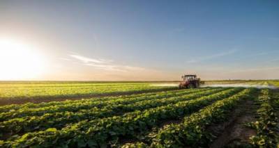 "&Sigma;&upsilon;&nu;&tau;&rho;&iota;&pi;&tau;&iota;&kappa;ή &eta; &delta;&eta;&mu;ό&sigma;&iota;&alpha; &upsilon;&pi;&omicron;&sigma;&tau;ή&rho;&iota;&xi;&eta;" &gamma;&iota;&alpha; &tau;&omicron;&upsilon;&sigmaf; &Beta;&rho;&epsilon;&tau;&alpha;&nu;&omicron;ύ&sigmaf; &alpha;&gamma;&rho;ό&tau;&epsilon;&sigmaf;