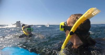 &Alpha;&upsilon;&sigma;&tau;&rho;&alpha;&lambda;ί&alpha;: &Eta; &sigma;&tau;&iota;&gamma;&mu;ή &pi;&omicron;&upsilon; &phi;ά&lambda;&alpha;&iota;&nu;&alpha; 30 &tau;ό&nu;&omega;&nu; &pi;&epsilon;&tau;ά&epsilon;&iota; &sigma;&tau;&omicron;&nu; &alpha;έ&rho;&alpha; &kappa;&omicron;&lambda;&upsilon;&mu;&beta;&eta;&tau;ή