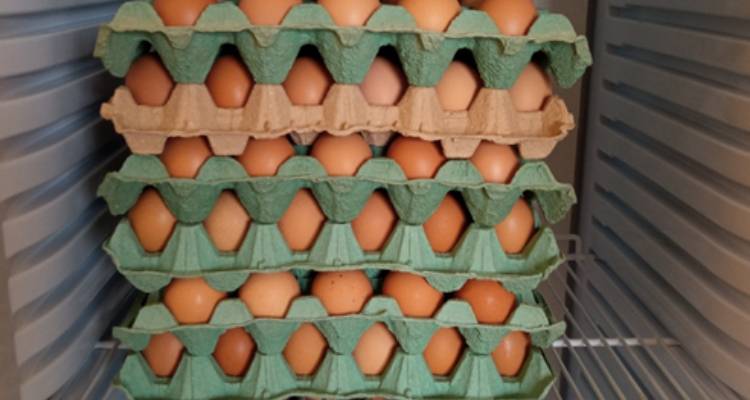 Το Κοινωνικό Παντοπωλείο Δήμου Λήμνου ευχαριστεί το «Αγρόκτημα Μανωλιά»