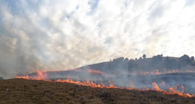 Φωτιά σε εξέλιξη μεταξύ Δάφνης και Κατάλακκου (photos)