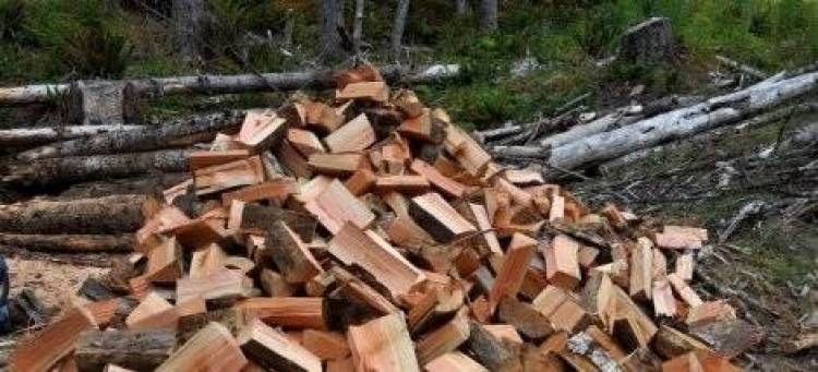 Guardian: Οι απελπισμένοι Έλληνες στρέφονται στα... δάση τους για να βρουν καύσιμα για το χειμώνα