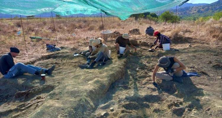 5 &theta;έ&sigma;&epsilon;&iota;&sigmaf; &epsilon;&rho;&gamma;&alpha;&sigma;ί&alpha;&sigmaf; &sigma;&tau;&eta; &Lambda;ή&mu;&nu;&omicron; &alpha;&pi;ό &tau;&eta;&nu; &Epsilon;&Phi;&Alpha; &Lambda;έ&sigma;&beta;&omicron;&upsilon;