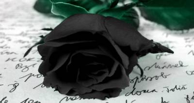 Συλλυπητήριο μήνυμα από το Κέντρο Κοινότητας του Δήμου Λήμνου