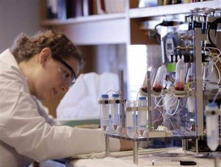 H &kappa;&rho;ί&sigma;&eta; &epsilon;&xi;&omicron;&nu;&tau;ώ&nu;&epsilon;&iota; &tau;&eta;&nu; &epsilon;&pi;&iota;&sigma;&tau;ή&mu;&eta; &sigma;&tau;&eta;&nu; &Epsilon;&lambda;&lambda;ά&delta;&alpha;, &pi;&rho;&omicron;&epsilon;&iota;&delta;&omicron;&pi;&omicron;&iota;&epsilon;ί ά&rho;&theta;&rho;&omicron; &sigma;&tau;&omicron; Nature