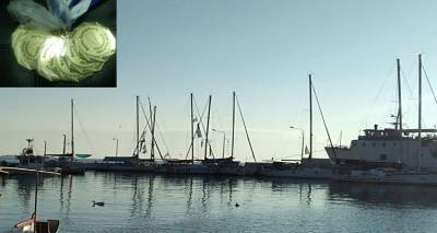 &Omicron; &Delta;ή&mu;&omicron;&sigmaf; &Alpha;&gamma;ί&omicron;&upsilon; &Epsilon;&upsilon;&sigma;&tau;&rho;&alpha;&tau;ί&omicron;&upsilon; &gamma;&iota;&alpha; &tau;&eta; &Rho;&epsilon;&gamma;&kappa;ά&tau;&alpha; &Phi;&iota;&lambda;ί&alpha;&sigmaf; 2018