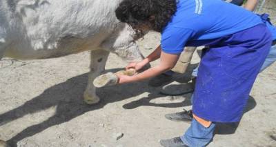 Επαναλειτουργεί από σήμερα το Αγροτικό Κτηνιατρείο Μούδρου