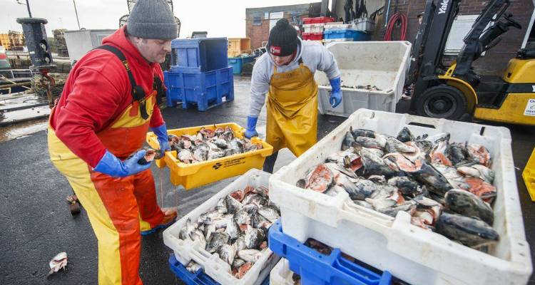 Brexit: Πλοία του Βασιλικού Ναυτικού έτοιμα να υπερασπισθούν τα δικαιώματα των Βρετανών αλιέων