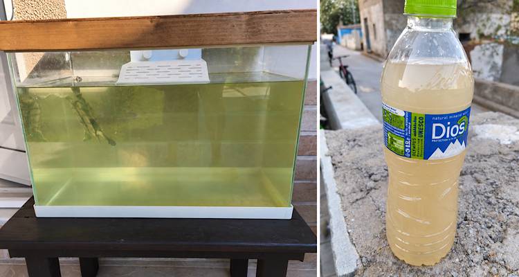 &Rho;&epsilon;&pi;&alpha;&nu;ί&delta;&iota;: &Theta;&omicron;&lambda;ό &nu;&epsilon;&rho;ό &tau;&omicron; &kappa;&alpha;&lambda;&omicron;&kappa;&alpha;ί&rho;&iota;, έ&nu;&tau;&omicron;&nu;&eta; &delta;&upsilon;&sigma;&omicron;&sigma;&mu;ί&alpha; &sigma;ή&mu;&epsilon;&rho;&alpha; | &Kappa;ά&tau;&omicron;&iota;&kappa;&omicron;&iota; &zeta;&eta;&tau;&omicron;ύ&nu; &epsilon;&pi;ί&sigma;&eta;&mu;&epsilon;&sigmaf; &alpha;&nu;&alpha;&lambda;ύ&sigma;&epsilon;&iota;&sigmaf;