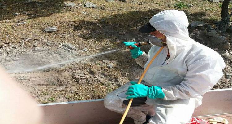 &Tau;&iota; &alpha;&pi;&omicron;&kappa;ά&lambda;&upsilon;&psi;&epsilon; έ&rho;&epsilon;&upsilon;&nu;&alpha; &tau;&omicron;&upsilon; &epsilon;&nu;&tau;&omicron;&mu;&omicron;&lambda;ό&gamma;&omicron;&upsilon; &Alpha;. &Tau;&sigma;&alpha;&gamma;&kappa;&alpha;&rho;ά&kappa;&eta; &gamma;&iota;&alpha; &tau;&iota;&sigmaf; &alpha;&kappa;&rho;ί&delta;&epsilon;&sigmaf; &tau;&omicron;&upsilon; &Alpha;&eta; &Sigma;&tau;&rho;ά&tau;&eta;