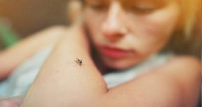 &Pi;.&Epsilon;. &Lambda;ή&mu;&nu;&omicron;&upsilon;: Έ&nu;&alpha;&rho;&xi;&eta; &pi;&rho;&omicron;&gamma;&rho;ά&mu;&mu;&alpha;&tau;&omicron;&sigmaf; &kappa;&alpha;&tau;&alpha;&pi;&omicron;&lambda;έ&mu;&eta;&sigma;&eta;&sigmaf; &kappa;&omicron;&upsilon;&nu;&omicron;&upsilon;&pi;&iota;ώ&nu; | &Omicron;&delta;&eta;&gamma;ί&epsilon;&sigmaf;