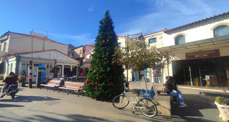 Αύριο η  φωταγώγηση του  δέντρου στη Μύρινα | Na απομακρυνθούν τα οχήματα ζητάει ο ΟΕΠΑ