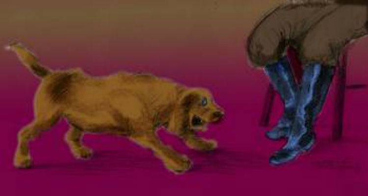 &laquo;&Nu;&alpha; &mu;&eta;&nu; &xi;&epsilon;&chi;ά&sigma;&omicron;&upsilon;&mu;&epsilon; &tau;&omicron;&nu; &phi;ί&lambda;&omicron; &mu;&alpha;&sigmaf; &tau;&omicron;&nu; &Nu;&tau;&iota;&kappa;&raquo;: &Eta; &iota;&sigma;&tau;&omicron;&rho;ί&alpha; &tau;&omicron;&upsilon; &epsilon;&pi;&alpha;&nu;&alpha;&sigma;&tau;ά&tau;&eta; &sigma;&kappa;ύ&lambda;&omicron;&upsilon; &tau;&eta;&sigmaf; &Lambda;ή&mu;&nu;&omicron;&upsilon; (video)