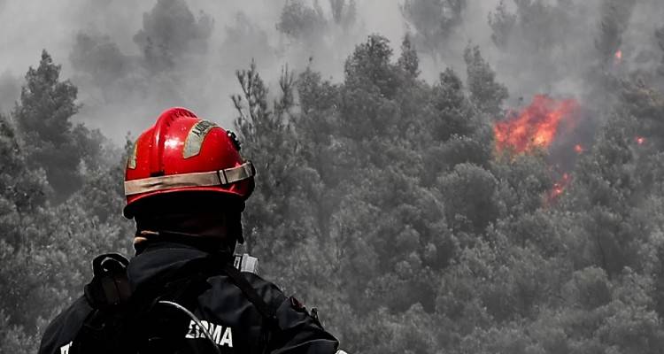 &Phi;&omega;&tau;&iota;ά &sigma;&tau;&alpha; &Beta;ί&lambda;&iota;&alpha;: &Kappa;ά&eta;&kappa;&alpha;&nu; &sigma;&pi;ί&tau;&iota;&alpha; &sigma;&tau;&omicron;&nu; &omicron;&iota;&kappa;&iota;&sigma;&mu;ό &Pi;&rho;&omicron;&phi;ή&tau;&eta;&sigmaf; &Eta;&lambda;ί&alpha;&sigmaf; -&laquo;&Delta;ύ&sigma;&kappa;&omicron;&lambda;&eta; &epsilon;&sigma;&tau;ί&alpha;&raquo;, 21 &epsilon;&nu;&alpha;έ&rho;&iota;&alpha; &mu;έ&sigma;&alpha; &sigma;&tau;&eta; &mu;ά&chi;&eta; &mu;&epsilon; &tau;&iota;&sigmaf; &phi;&lambda;ό&gamma;&epsilon;&sigmaf;