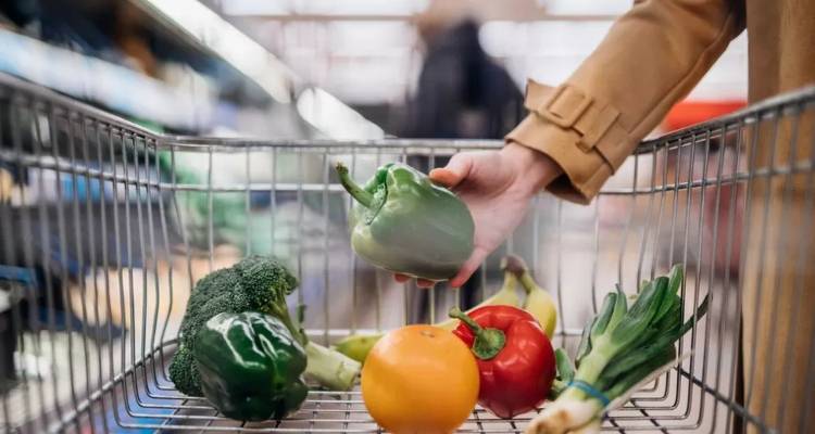 &Gamma;&iota;&alpha;&tau;ί &upsilon;&pi;ά&rho;&chi;&epsilon;&iota; έ&lambda;&lambda;&epsilon;&iota;&psi;&eta; &nu;&tau;&omicron;&mu;ά&tau;&alpha;&sigmaf; &kappa;&alpha;&iota; ά&lambda;&lambda;&omega;&nu; &phi;&rho;&omicron;ύ&tau;&omega;&nu; &kappa;&alpha;&iota; &lambda;&alpha;&chi;&alpha;&nu;&iota;&kappa;ώ&nu; &sigma;&tau;&omicron; &Eta;&nu;&omega;&mu;έ&nu;&omicron; &Beta;&alpha;&sigma;ί&lambda;&epsilon;&iota;&omicron;;