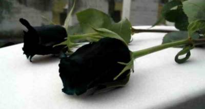 &Delta;&epsilon;&nu; ά&nu;&tau;&epsilon;&xi;&epsilon; &omicron; 63&chi;&rho;&omicron;&nu;&omicron;&sigmaf; &Lambda;&eta;&mu;&nu;&iota;ό&sigmaf; &pi;&omicron;&upsilon; &epsilon;ί&chi;&epsilon; &tau;&rho;&alpha;&upsilon;&mu;&alpha;&tau;&iota;&sigma;&tau;&epsilon;ί &sigma;&epsilon; &tau;&rho;&omicron;&chi;&alpha;ί&omicron;