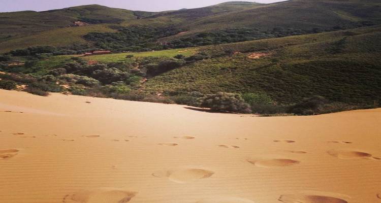 &Alpha;&phi;&iota;έ&rho;&omega;&mu;&alpha; &sigma;&tau;&eta; "&Sigma;&alpha;&chi;ά&rho;&alpha;" &tau;&eta;&sigmaf; &Lambda;ή&mu;&nu;&omicron;&upsilon; &alpha;&pi;&omicron; &tau;&omicron; Greeceview