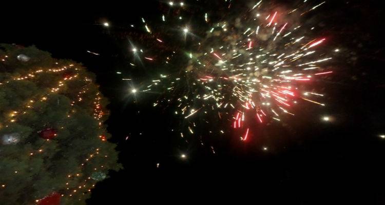 &Tau;&omicron; &Theta;ά&nu;&omicron;&sigmaf; &phi;&omega;&tau;&alpha;&gamma;&omega;&gamma;&epsilon;ί &tau;&omicron; &psi;&eta;&lambda;ό&tau;&epsilon;&rho;&omicron; &phi;&upsilon;&sigma;&iota;&kappa;ό &delta;έ&nu;&tau;&rho;&omicron;