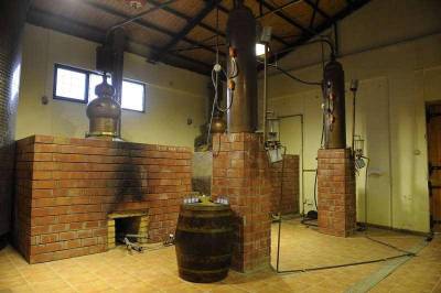 «Πονοκέφαλος» λόγω… τσίπουρου | Αιτήσεις μέσω Taxisnet για την απόσταξη