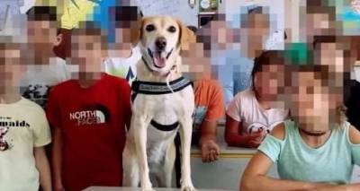 &laquo;&Nu;&Epsilon;&Mu;&Epsilon;&Sigma;&Iota;&Sigma;&raquo;: &Tau;&iota; &gamma;ί&nu;&epsilon;&tau;&alpha;&iota; &mu;&epsilon; &tau;&eta; &phi;&iota;&lambda;&omicron;&zeta;&omega;ί&alpha; &sigma;&tau;&alpha; &sigma;&chi;&omicron;&lambda;&epsilon;ί&alpha;;