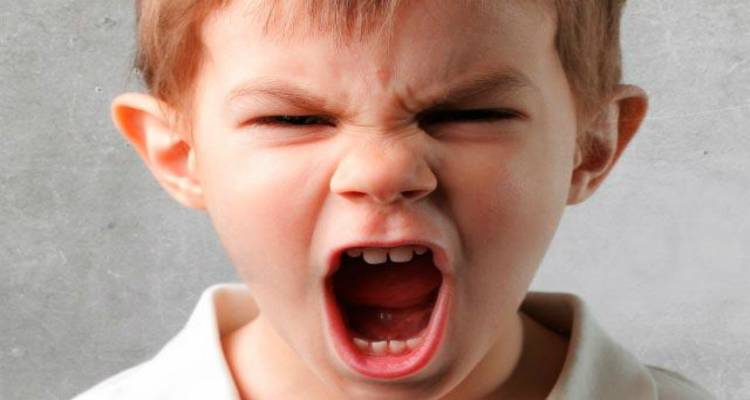 &Mu;&alpha;&theta;&eta;&tau;έ&sigmaf; &mu;&epsilon; &laquo;&pi;&rho;&omicron;&kappa;&lambda;&eta;&tau;&iota;&kappa;ή &sigma;&upsilon;&mu;&pi;&epsilon;&rho;&iota;&phi;&omicron;&rho;ά&raquo; &sigma;&tau;&omicron; &sigma;&chi;&omicron;&lambda;&epsilon;ί&omicron; &kappa;&alpha;&iota; &tau;&rho;ό&pi;&omicron;&iota; &alpha;&nu;&tau;&iota;&mu;&epsilon;&tau;ώ&pi;&iota;&sigma;&eta;&sigmaf; &alpha;&pi;ό &tau;&omicron;&upsilon;&sigmaf; &epsilon;&kappa;&pi;&alpha;&iota;&delta;&epsilon;&upsilon;&tau;&iota;&kappa;&omicron;ύ&sigmaf;