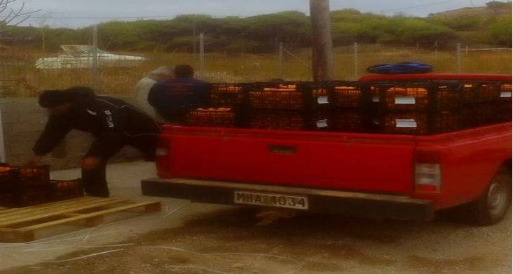 &Delta;&iota;&alpha;&nu;&omicron;&mu;ή  &phi;&rho;&omicron;ύ&tau;&omega;&nu; &tau;&eta;&nu; &Pi;&alpha;&rho;&alpha;&sigma;&kappa;&epsilon;&upsilon;ή &sigma;&tau;&iota;&sigmaf; &pi;&omicron;&lambda;ύ&tau;&epsilon;&kappa;&nu;&epsilon;&sigmaf; &omicron;&iota;&kappa;&omicron;&gamma;έ&nu;&epsilon;&iota;&epsilon;&sigmaf; &tau;&eta;&sigmaf; &Lambda;ή&mu;&nu;&omicron;&upsilon;