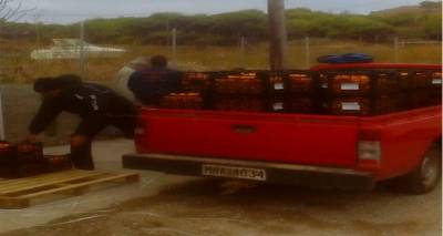 &Delta;&iota;&alpha;&nu;&omicron;&mu;ή  &phi;&rho;&omicron;ύ&tau;&omega;&nu; &tau;&eta;&nu; &Pi;&alpha;&rho;&alpha;&sigma;&kappa;&epsilon;&upsilon;ή &sigma;&tau;&iota;&sigmaf; &pi;&omicron;&lambda;ύ&tau;&epsilon;&kappa;&nu;&epsilon;&sigmaf; &omicron;&iota;&kappa;&omicron;&gamma;έ&nu;&epsilon;&iota;&epsilon;&sigmaf; &tau;&eta;&sigmaf; &Lambda;ή&mu;&nu;&omicron;&upsilon;