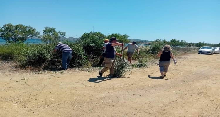 &Lambda;ή&mu;&nu;&omicron;&sigmaf;: &Epsilon;&theta;&epsilon;&lambda;&omicron;&nu;&tau;&iota;&kappa;ό&sigmaf; &kappa;&alpha;&theta;&alpha;&rho;&iota;&sigma;&mu;ό&sigmaf; &kappa;&alpha;&iota; &kappa;&lambda;ά&delta;&epsilon;&mu;&alpha; &sigma;&tau;&alpha; &alpha;&rho;&mu;&upsilon;&rho;ί&kappa;&iota;&alpha; &tau;&eta;&sigmaf; &pi;&alpha;&rho;&alpha;&lambda;ί&alpha;&sigmaf; &tau;&omicron;&upsilon; &Kappa;ό&tau;&sigma;&iota;&nu;&alpha; &alpha;&pi;ό &tau;&omicron;&nu; &Pi;.&Alpha;.&Omicron;. &Rho;&epsilon;&pi;&alpha;&nu;&iota;&delta;ί&omicron;&upsilon;