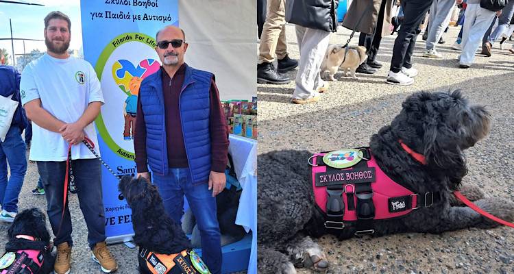 &Sigma;&kappa;ύ&lambda;&omicron;&iota;-&beta;&omicron;&eta;&theta;&omicron;ί &Alpha;&mu;&epsilon;&Alpha;: &Epsilon;&nu;&eta;&mu;έ&rho;&omega;&sigma;&eta; &alpha;&pi;ό &tau;&omicron;&nu; &epsilon;&kappa;&pi;&alpha;&iota;&delta;&epsilon;&upsilon;&tau;ή &Tau;. &Pi;&epsilon;&tau;&rho;ό&pi;&omicron;&upsilon;&lambda;&omicron; &sigma;&tau;&omicron;&nu; &Pi;. &Kappa;&upsilon;&rho;&iota;&alpha;&zeta;ή