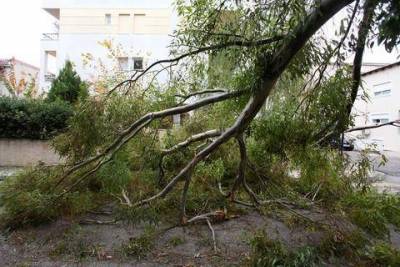 &Pi;&rho;&omicron;&beta;&lambda;ή&mu;&alpha;&tau;&alpha; &kappa;&alpha;&iota; &sigma;ή&mu;&epsilon;&rho;&alpha; &alpha;&pi;ό &tau;&eta;&nu; &kappa;&alpha;&kappa;&omicron;&kappa;&alpha;&iota;&rho;ί&alpha;