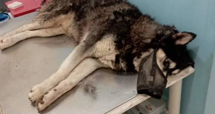 &Upsilon;&pi;ό&theta;&epsilon;&sigma;&eta; &Omicron;&lambda;&iota;&beta;&epsilon;&rho;: &Delta;&epsilon;&nu; &epsilon;&nu;&tau;&omicron;&pi;ί&zeta;&epsilon;&iota; &kappa;&alpha;&kappa;&omicron;&pi;&omicron;ί&eta;&sigma;&eta; &alpha;&pi;ό &alpha;&nu;&theta;&rho;ώ&pi;&iota;&nu;&omicron; &pi;&alpha;&rho;ά&gamma;&omicron;&nu;&tau;&alpha; &omicron; &pi;&rho;&alpha;&gamma;&mu;&alpha;&tau;&omicron;&gamma;&nu;ώ&mu;&omicron;&nu;&alpha;&sigmaf;, &beta;&gamma;ή&kappa;&epsilon; &eta; έ&kappa;&theta;&epsilon;&sigma;&eta;