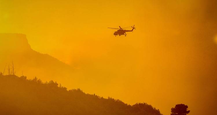 &Tau;&rho;&alpha;&gamma;&omega;&delta;ί&alpha; &sigma;&tau;&eta; &phi;&omega;&tau;&iota;ά &sigma;&tau;&omicron; &Xi;&upsilon;&lambda;ό&kappa;&alpha;&sigma;&tau;&rho;&omicron;: &Beta;&rho;έ&theta;&eta;&kappa;&alpha;&nu; &delta;ύ&omicron; &alpha;&pi;&alpha;&nu;&theta;&rho;&alpha;&kappa;&omega;&mu;έ&nu;&epsilon;&sigmaf; &sigma;&omicron;&rho;&omicron;ί | &Epsilon;&xi;&epsilon;&tau;ά&zeta;&omicron;&upsilon;&nu; &alpha;&nu; &pi;&rho;ό&kappa;&epsilon;&iota;&tau;&alpha;&iota; &gamma;&iota;&alpha; &tau;&omicron;&upsilon;&sigmaf; &delta;ύ&omicron; &alpha;&gamma;&nu;&omicron;&omicron;ύ&mu;&epsilon;&nu;&omicron;&upsilon;&sigmaf;