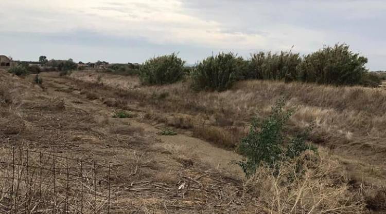 &Phi;&omega;&tau;ό: &Kappa;&upsilon;&rho;&iota;&alpha;&zeta;ή&sigmaf; &Pi;&alpha;&lambda;&alpha;&iota;&omicron;&lambda;ό&gamma;&omicron;&sigmaf;