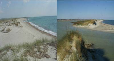 Την αποκατάσταση των παρεμβάσεων στην Αλυκή ζητά ο Όμιλος «Ανεμόεσσα».