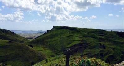 &Pi;&alpha;&pi;&iota;ά, &Kappa;&omicron;&rho;&alpha;&kappa;ά&sigmaf;, &Alpha;&lambda;&epsilon;&pi;ό&tau;&rho;&upsilon;&pi;&epsilon;&sigmaf; | &Tau;&omicron;&pi;&omega;&nu;ύ&mu;&iota;&alpha; &sigma;&tau;&eta; &Lambda;ή&mu;&nu;&omicron; &pi;&omicron;&upsilon; &pi;&alpha;&rho;&alpha;&pi;έ&mu;&pi;&omicron;&upsilon;&nu; &sigma;&epsilon; &epsilon;ί&delta;&eta; &zeta;ώ&omega;&nu;