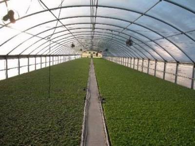 Ξεκινάει το Τμήμα Εφαρμοσμένης Γεωργίας στη Λήμνο