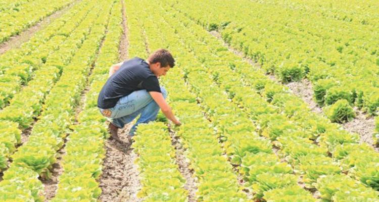 Επάγγελμα… Νέος Αγρότης