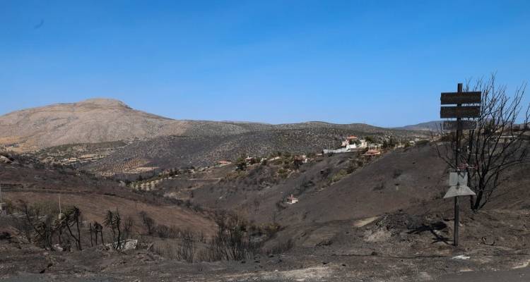 &Kappa;&epsilon;&rho;&alpha;&tau;έ&alpha;: Ά&rho;&chi;&iota;&sigma;&alpha;&nu; &omicron;&iota; &alpha;&iota;&tau;ή&sigma;&epsilon;&iota;&sigmaf; &alpha;&pi;&omicron;&zeta;&eta;&mu;&iota;ώ&sigma;&epsilon;&omega;&nu; &gamma;&iota;&alpha; &zeta;&eta;&mu;&iota;έ&sigmaf; &sigma;&epsilon; &phi;&upsilon;&tau;&iota;&kappa;ή &pi;&alpha;&rho;&alpha;&gamma;&omega;&gamma;ή &alpha;&pi;ό &tau;&eta; &phi;&omega;&tau;&iota;ά -&Eta; &delta;&iota;&alpha;&delta;&iota;&kappa;&alpha;&sigma;ί&alpha;