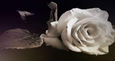 Έ&phi;&upsilon;&gamma;&epsilon; &alpha;&pi;ό &tau;&eta; &zeta;&omega;ή &omicron; &Mu;&pi;ά&mu;&pi;&eta;&sigmaf; &Chi;&alpha;&tau;&zeta;ό&gamma;&lambda;&omicron;&upsilon;