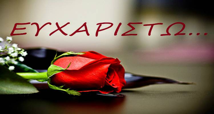 &Omicron; &Epsilon;&rho;&upsilon;&theta;&rho;ό&sigmaf; &Sigma;&tau;&alpha;&upsilon;&rho;ό&sigmaf; &Lambda;ή&mu;&nu;&omicron;&upsilon; &epsilon;&upsilon;&chi;&alpha;&rho;&iota;&sigma;&tau;&epsilon;ί &tau;&omicron;&nu; &gamma;&iota;&alpha;&tau;&rho;ό &Beta;&alpha;&sigma;ί&lambda;&eta; &Pi;&epsilon;&rho;&pi;&epsilon;&rho;ί&delta;&eta;