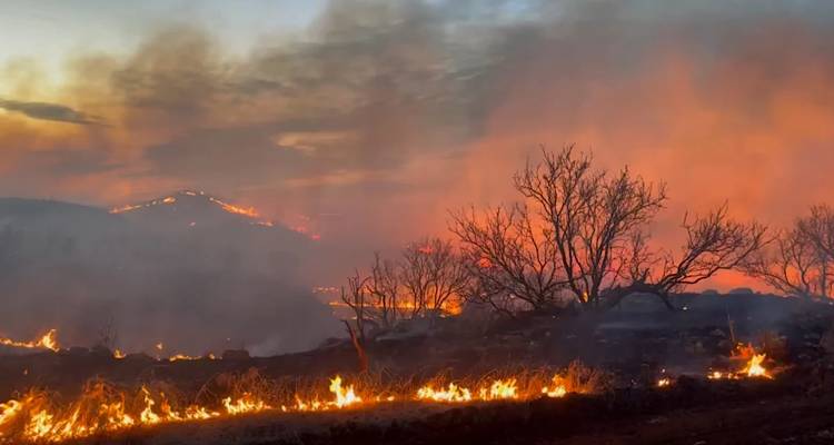 &Eta;&Pi;&Alpha;: &Tau;&omicron; &Tau;έ&xi;&alpha;&sigmaf; &pi;&alpha;&rho;&alpha;&mu;έ&nu;&epsilon;&iota; &alpha;&nu;&tau;&iota;&mu;έ&tau;&omega;&pi;&omicron; &mu;&epsilon; &tau;&eta; &mu;&epsilon;&gamma;&alpha;&lambda;ύ&tau;&epsilon;&rho;&eta; &pi;&upsilon;&rho;&kappa;&alpha;&gamma;&iota;ά &sigma;&tau;&eta;&nu; &iota;&sigma;&tau;&omicron;&rho;ί&alpha; &tau;&omicron;&upsilon;