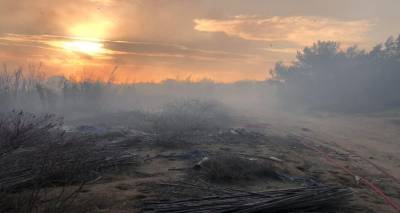 &Phi;&omega;&tau;&iota;ά &epsilon;&chi;&theta;έ&sigmaf; &sigma;&tau;&omicron; &delta;&alpha;&sigma;ά&kappa;&iota; &tau;&omicron;&upsilon; &Kappa;έ&rho;&omicron;&upsilon;&sigmaf; | &Omicron; &Sigma;ύ&lambda;&lambda;&omicron;&gamma;&omicron;&sigmaf; &Epsilon;&nu;&epsilon;&rho;&gamma;ώ&nu; &Pi;&omicron;&lambda;&iota;&tau;ώ&nu; &Lambda;ή&mu;&nu;&omicron;&upsilon; &tau;&omicron;&nu;ί&zeta;&epsilon;&iota; &tau;&eta;&nu; &epsilon;&pi;&iota;&tau;&alpha;&kappa;&tau;&iota;&kappa;ή &alpha;&nu;ά&gamma;&kappa;&eta; &lambda;ή&psi;&eta;&sigmaf; &mu;έ&tau;&rho;&omega;&nu;