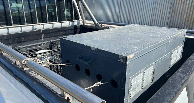 Λήμνος - Ανατροπή: Από «κακοποιητής ζώων»… αθωώθηκε και τώρα ζητά 20.000€