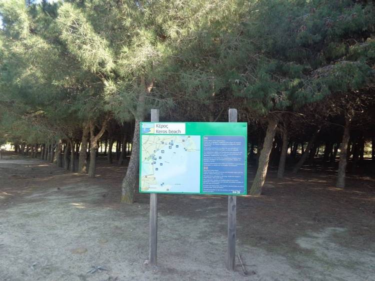 Εθελοντικός καθαρισμός στο δασάκι της Καλλιόπης από τον Πολιτιστικό Αθλητικό Όμιλο της περιοχής