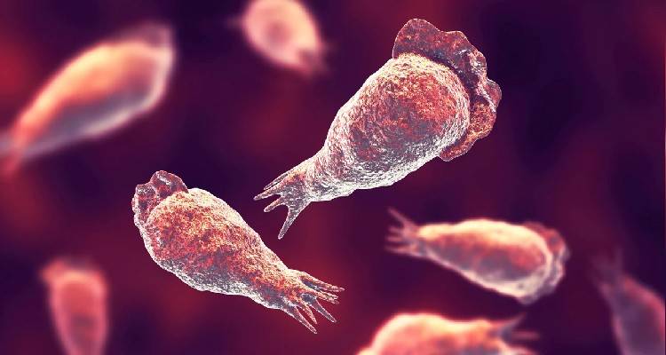 &Eta;&Pi;&Alpha;: &Alpha;&nu;ή&lambda;&iota;&kappa;&omicron;&sigmaf; έ&chi;&alpha;&sigma;&epsilon; &tau;&eta; &zeta;&omega;ή &tau;&omicron;&upsilon; &alpha;&pi;ό &sigma;&pi;ά&nu;&iota;&alpha; &alpha;&mu;&omicron;&iota;&beta;ά&delta;&alpha; &pi;&omicron;&upsilon; &laquo;&tau;&rho;ώ&epsilon;&iota;&raquo; &tau;&omicron;&nu; &epsilon;&gamma;&kappa;έ&phi;&alpha;&lambda;&omicron;