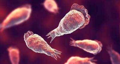 &Eta;&Pi;&Alpha;: &Alpha;&nu;ή&lambda;&iota;&kappa;&omicron;&sigmaf; έ&chi;&alpha;&sigma;&epsilon; &tau;&eta; &zeta;&omega;ή &tau;&omicron;&upsilon; &alpha;&pi;ό &sigma;&pi;ά&nu;&iota;&alpha; &alpha;&mu;&omicron;&iota;&beta;ά&delta;&alpha; &pi;&omicron;&upsilon; &laquo;&tau;&rho;ώ&epsilon;&iota;&raquo; &tau;&omicron;&nu; &epsilon;&gamma;&kappa;έ&phi;&alpha;&lambda;&omicron;