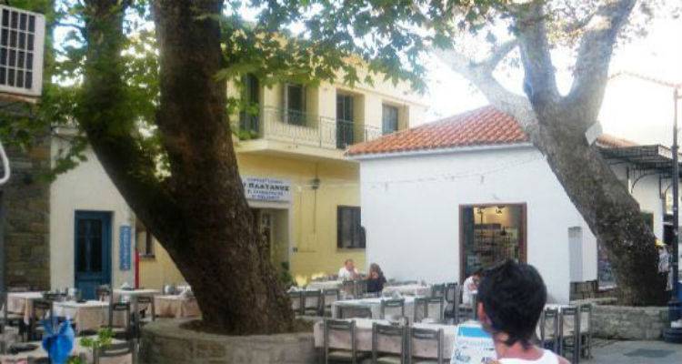 &laquo;&Omicron;&rho;&phi;ά&nu;&epsilon;&psi;&epsilon;&raquo; &omicron; &Pi;&lambda;ά&tau;&alpha;&nu;&omicron;&sigmaf; | &Sigma;&tau;&iota;&sigmaf; &gamma;&epsilon;&iota;&tau;&omicron;&nu;&iota;έ&sigmaf; &tau;&omicron;&upsilon; &omicron;&upsilon;&rho;&alpha;&nu;&omicron;ύ &alpha;&pi;ό &sigma;ή&mu;&epsilon;&rho;&alpha; &omicron; &Gamma;&iota;ώ&rho;&gamma;&omicron;&sigmaf; &Gamma;&iota;&alpha;&mu;&alpha;&rho;έ&lambda;&omicron;&sigmaf;