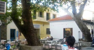 &laquo;&Omicron;&rho;&phi;ά&nu;&epsilon;&psi;&epsilon;&raquo; &omicron; &Pi;&lambda;ά&tau;&alpha;&nu;&omicron;&sigmaf; | &Sigma;&tau;&iota;&sigmaf; &gamma;&epsilon;&iota;&tau;&omicron;&nu;&iota;έ&sigmaf; &tau;&omicron;&upsilon; &omicron;&upsilon;&rho;&alpha;&nu;&omicron;ύ &alpha;&pi;ό &sigma;ή&mu;&epsilon;&rho;&alpha; &omicron; &Gamma;&iota;ώ&rho;&gamma;&omicron;&sigmaf; &Gamma;&iota;&alpha;&mu;&alpha;&rho;έ&lambda;&omicron;&sigmaf;