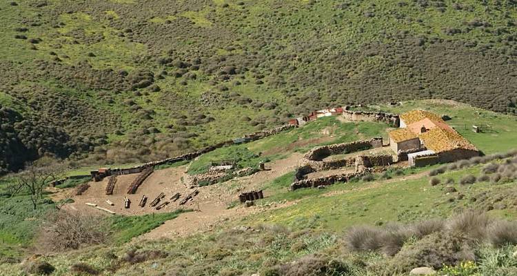 &Tau;&omicron; MedINA &kappa;&lambda;&epsilon;ί&nu;&epsilon;&iota; &tau;&omicron; 2024 &mu;&epsilon; &delta;&iota;&epsilon;&theta;&nu;ή &delta;&iota;ά&kappa;&rho;&iota;&sigma;&eta; | &Tau;&omicron; Terra Lemnia &alpha;&nu;&alpha;&gamma;&nu;&omega;&rho;ί&zeta;&epsilon;&tau;&alpha;&iota; &omega;&sigmaf; &Lambda;ύ&sigma;&eta; &beta;&alpha;&sigma;&iota;&sigma;&mu;έ&nu;&eta; &sigma;&tau;&eta; &Phi;ύ&sigma;&eta;