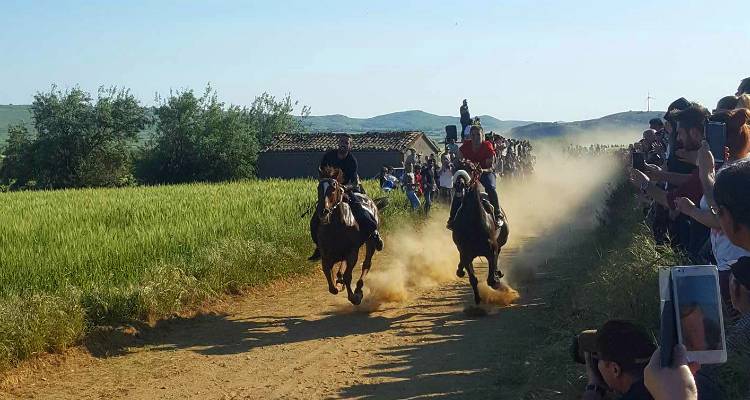 Φωτογραφία: Ερμίνα Ντάιμα